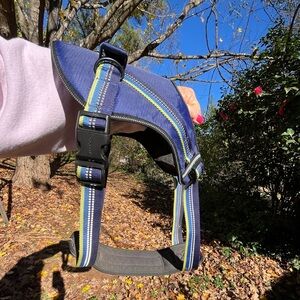 Head brand  Blue Dog harness